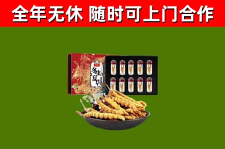 杨陵烟酒回收冬虫夏草礼盒.jpg