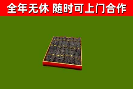 杨陵回收海参